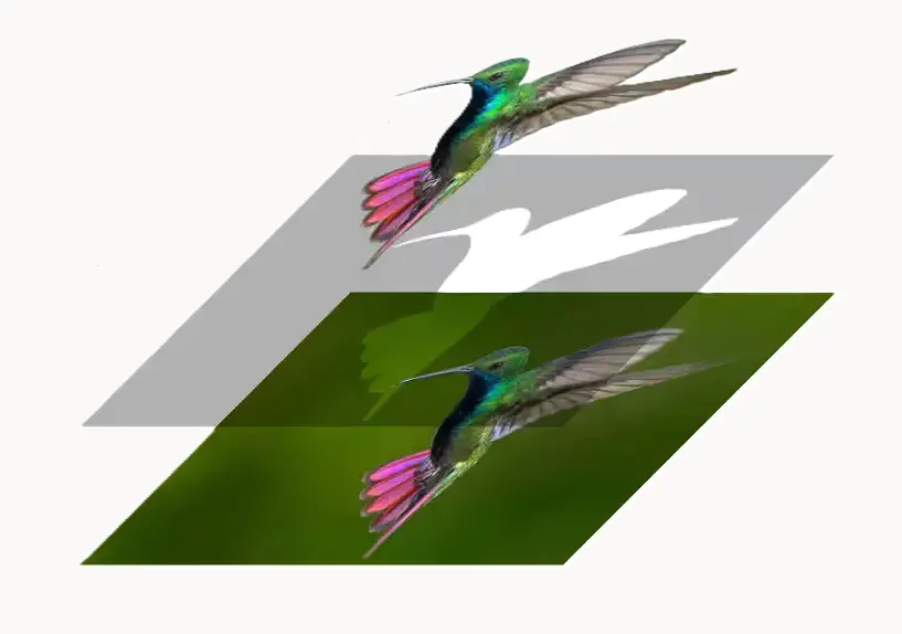 کار با لایه ها در CorelDraw
